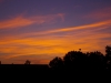 IMGP7109 (Medium).JPG