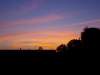 IMGP7119 (Medium).JPG