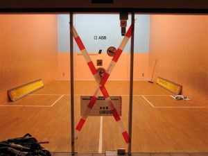 IMG_2745 (Mittel)